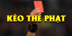 Nếu không tìm hiểu về đội hình ra sân bạn sẽ không thể đánh giá số lượng thẻ phạt